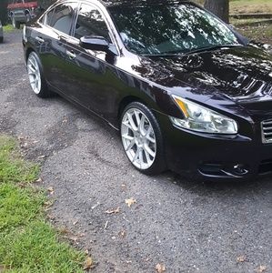 Meet your Posher, Betty